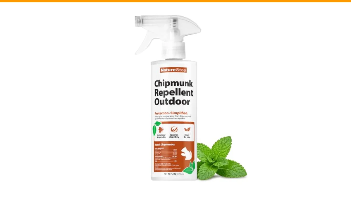 Effective Chipmunk Damage Prevention: A Comprehensive Guide 2 chipmunk damage prevention