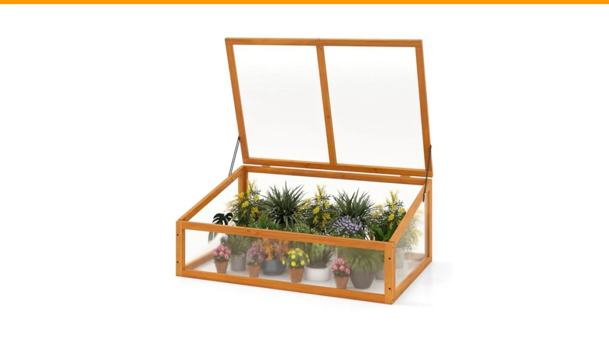 cold frame gardening in winter