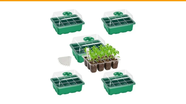 container gardening for beginners