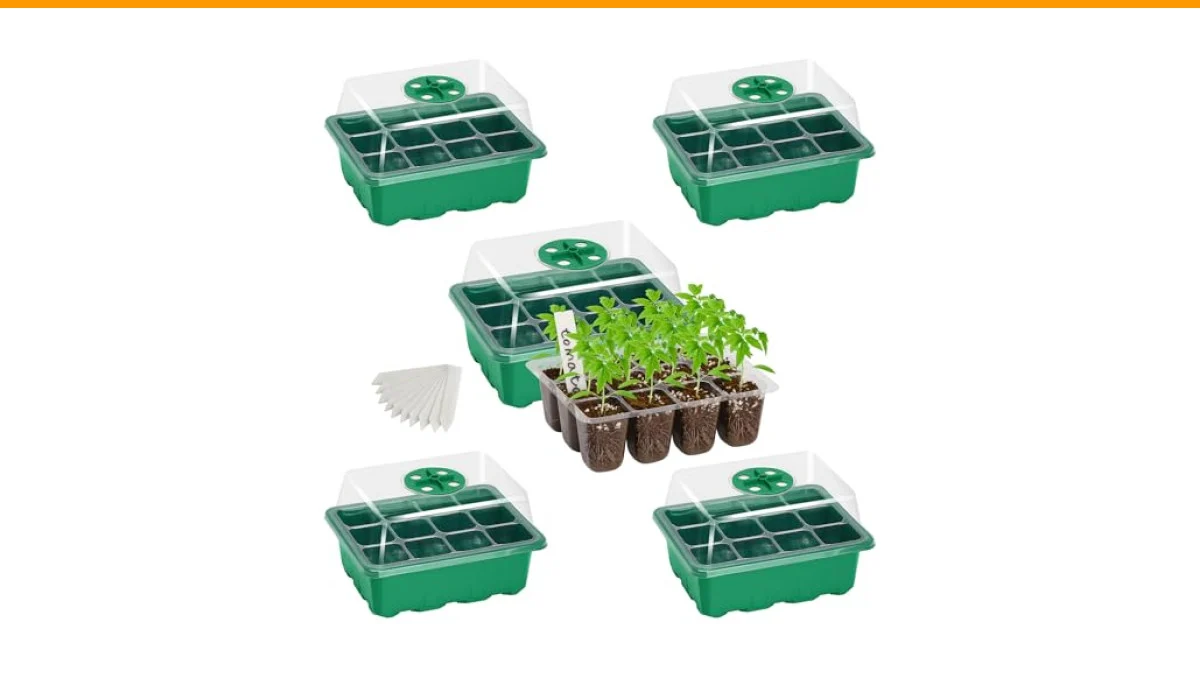 container gardening for beginners