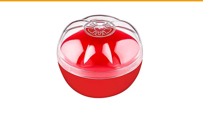 container size for tomatoes