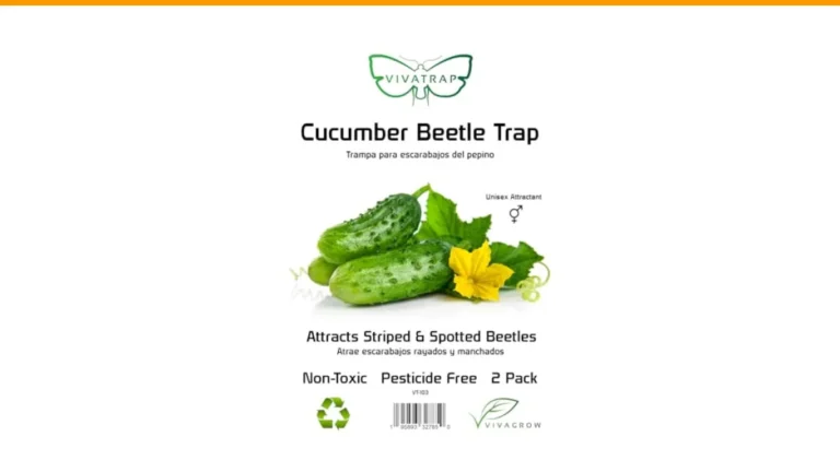 dealing with flea beetles on vegetables