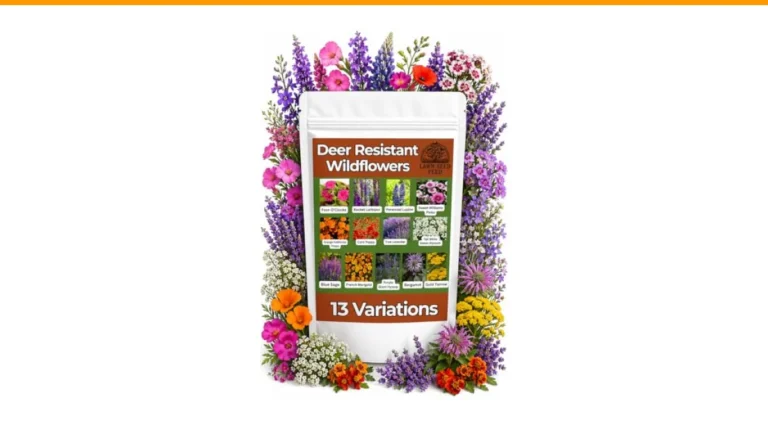 deer resistant perennial flowers