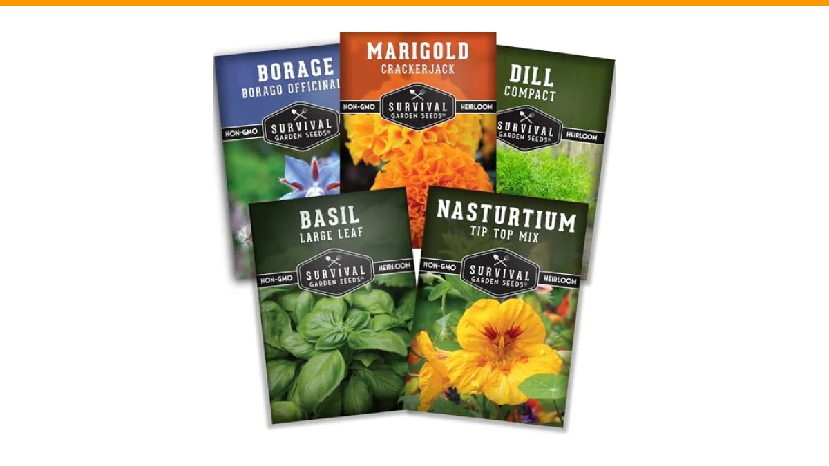 dill companion plants