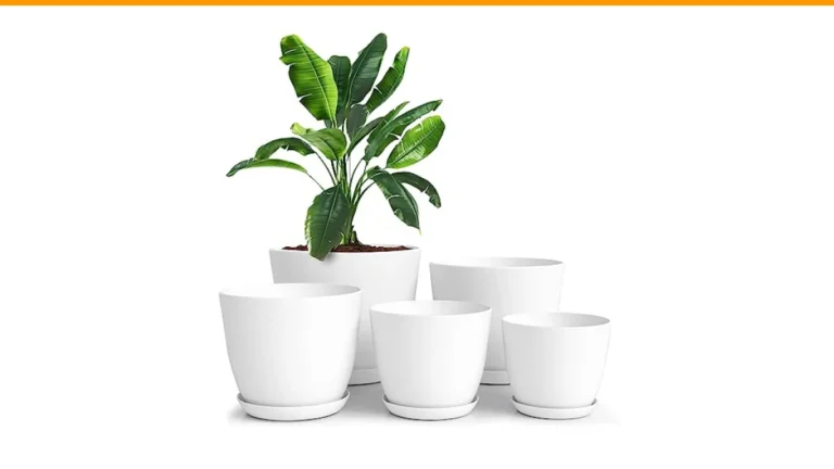 drainage holes in pots necessary