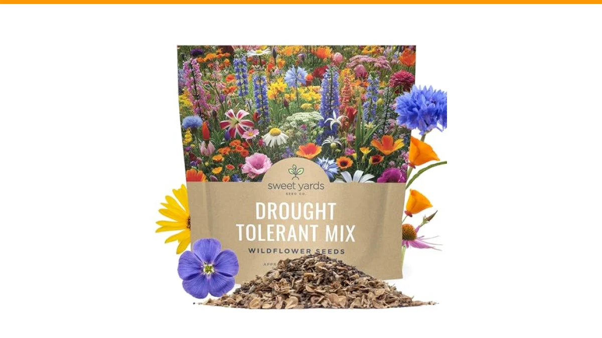 drought tolerant garden design