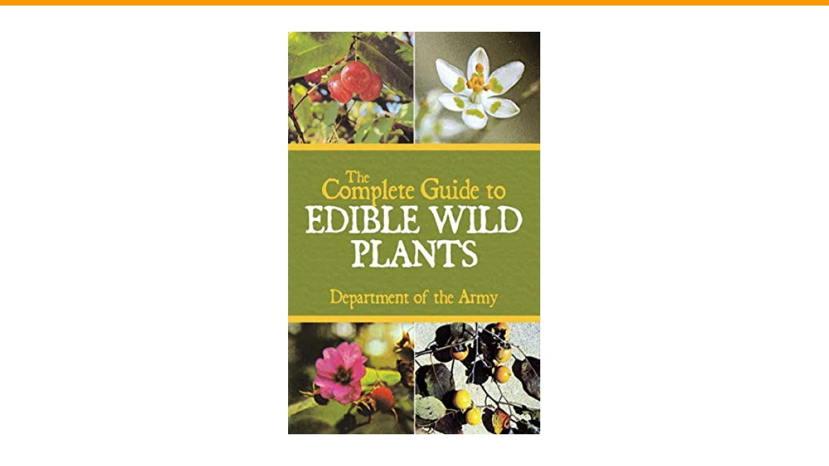 edible landscape design ideas