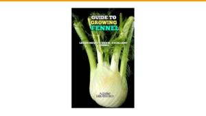 fennel growing guide
