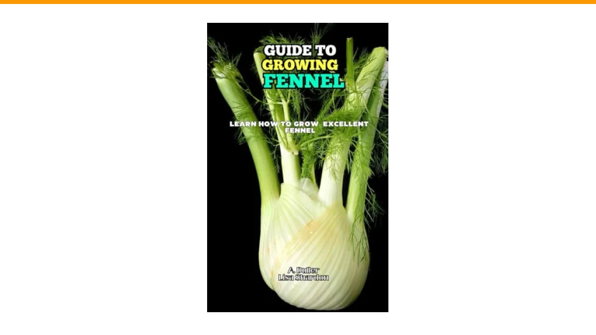 fennel growing guide
