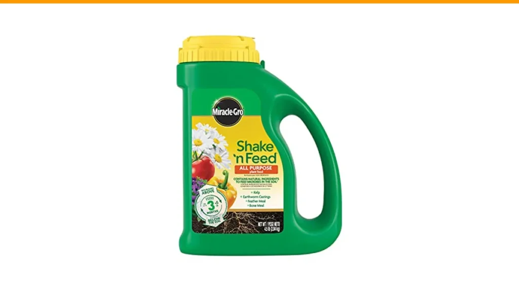 fertilizing container plants