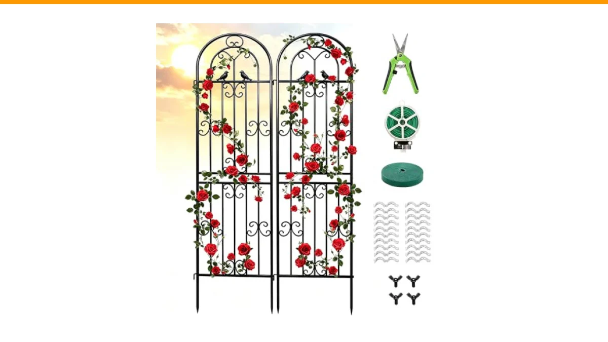 garden trellis for climbing roses