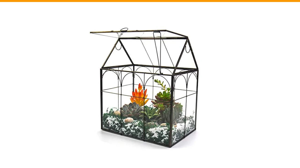 glass greenhouse indoor
