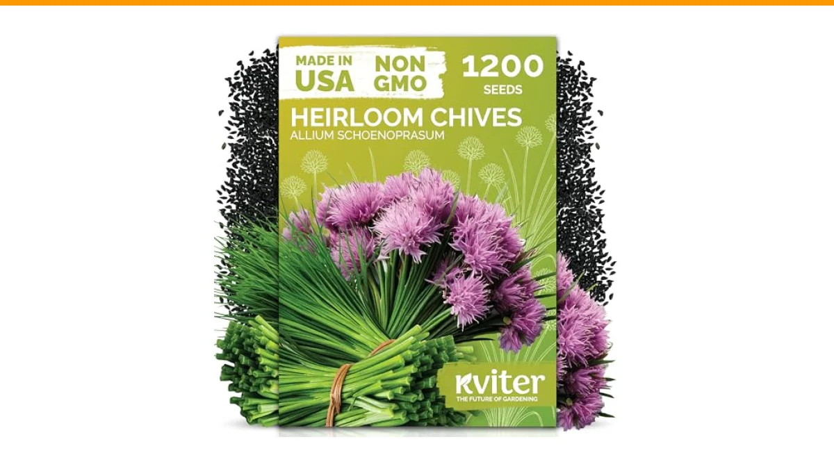 Growing Chives from Seed: A Comprehensive Guide 2 growing chives from seed