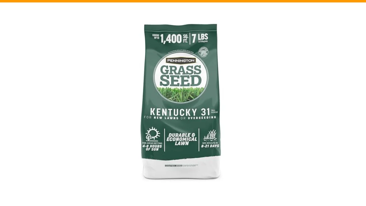 how to choose the right grass for your lawn