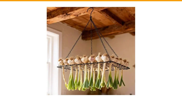 how to cure garlic after harvest