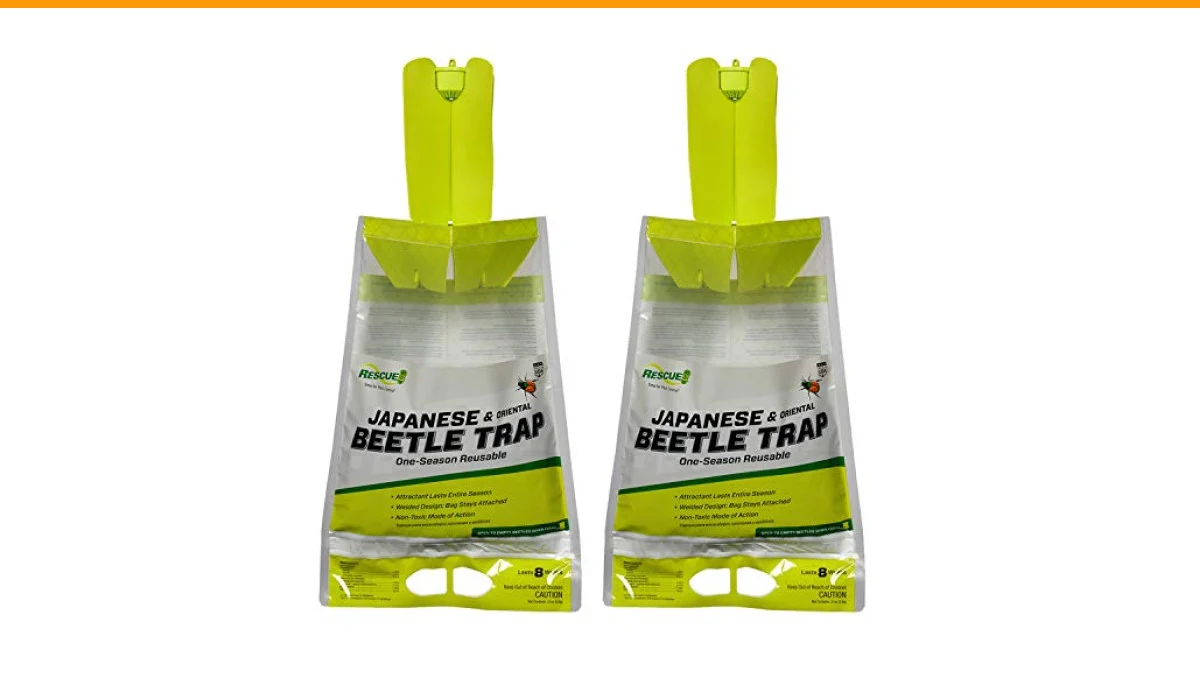 How to Eliminate Japanese Beetles: A Comprehensive Guide 2 how to eliminate Japanese beetles