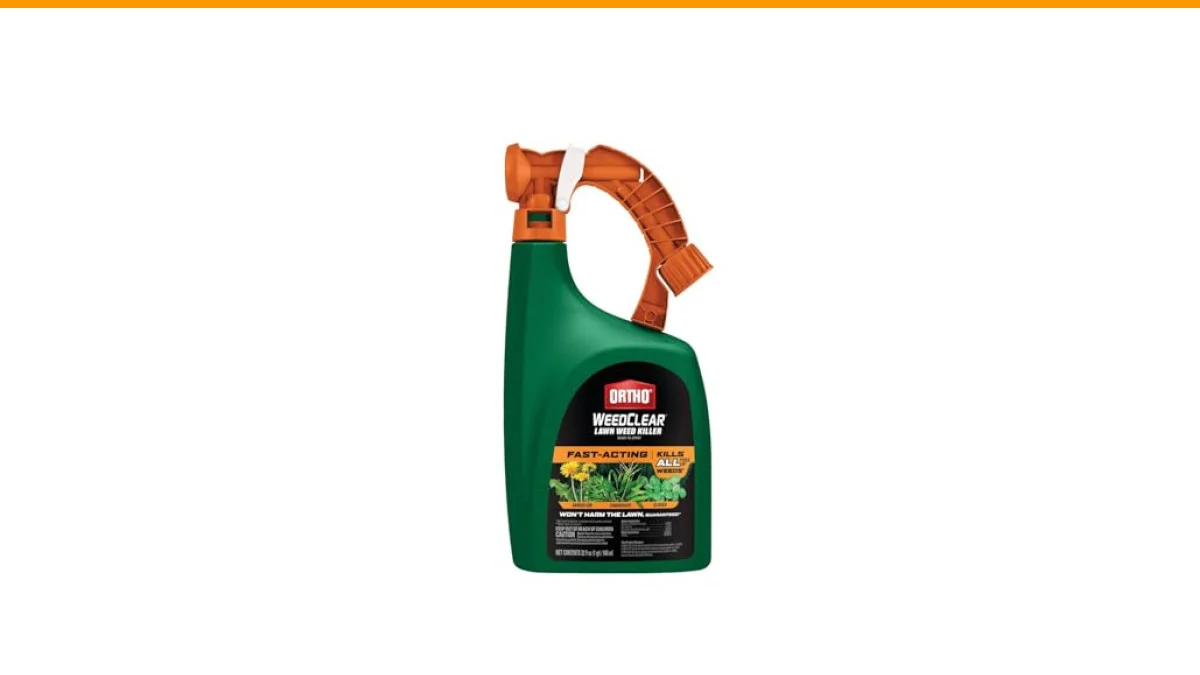 how to get rid of clover in a lawn