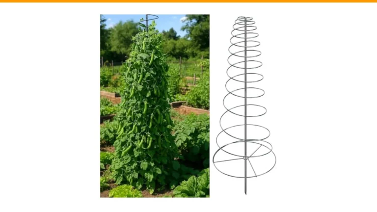 how to grow beans on a trellis