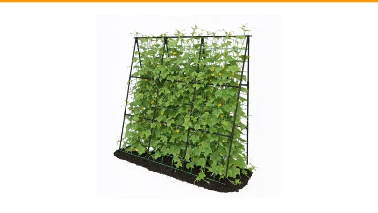 how to grow cucumbers vertically