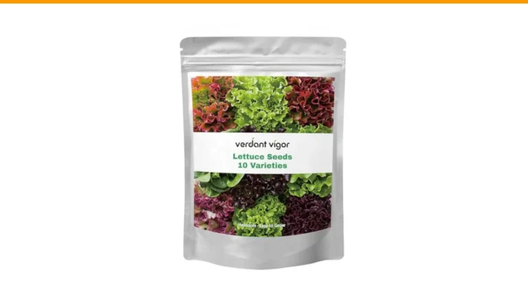 how to grow lettuce in summer without bolting