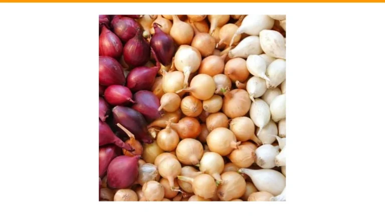 how to grow onions from sets