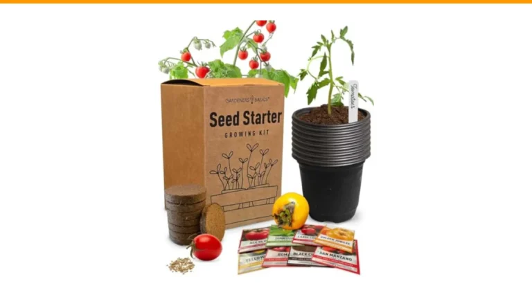 how to grow tomatoes from seed to harvest