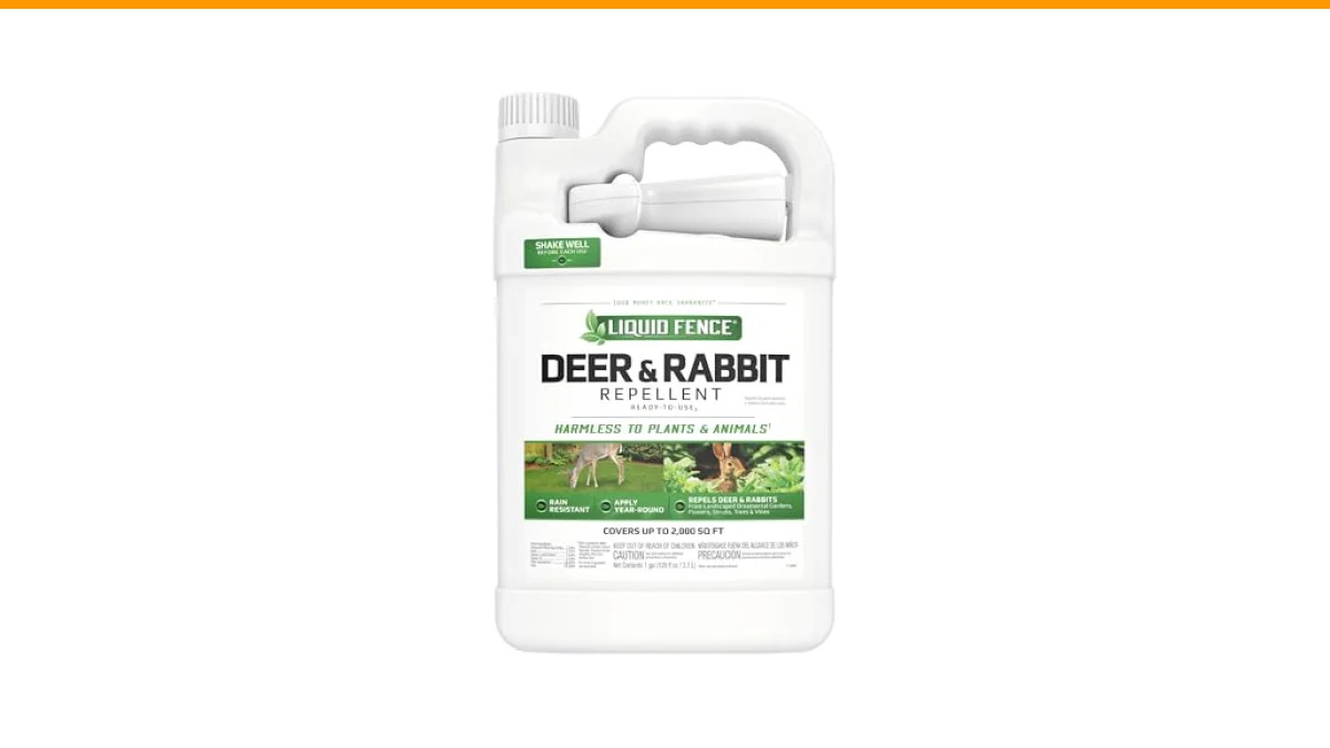 Effective Strategies to Keep Deer Out of Your Vegetable Garden 3 Effective Strategies to Keep Deer Out of Your Vegetable Garden