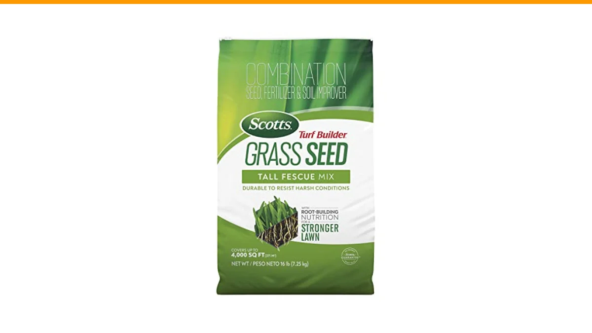 how to overseed a lawn