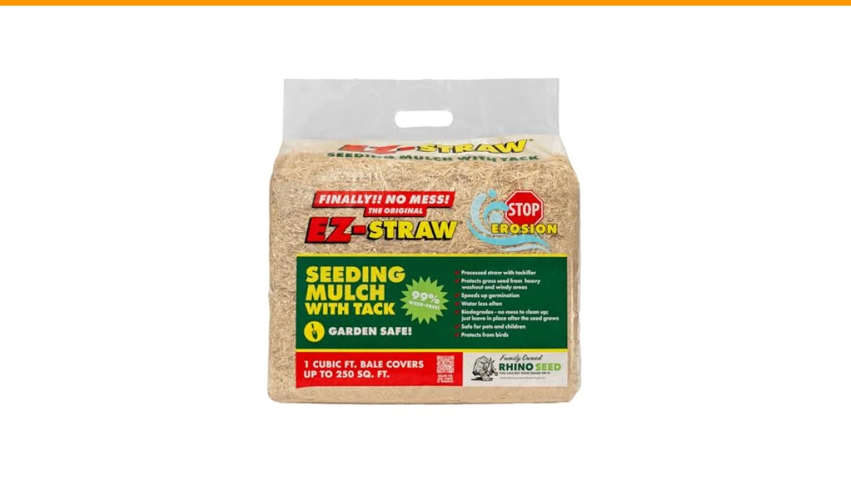 How to Protect New Grass Seed for Optimal Growth 1 how to protect new grass seed