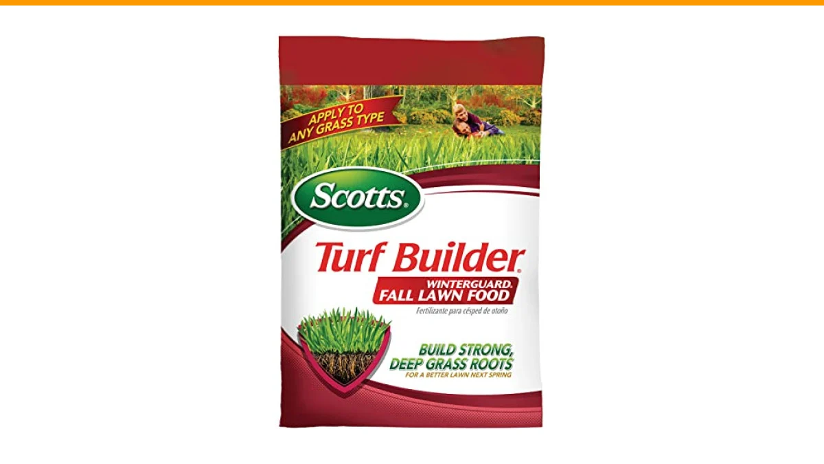 how to revive a lawn after winter