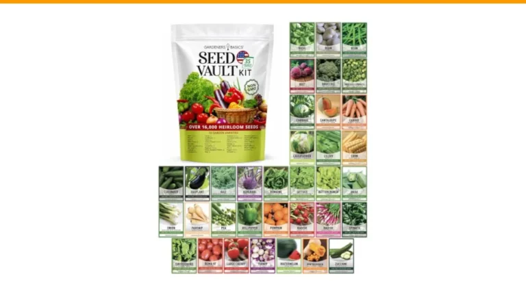 how to start a vegetable garden for beginners