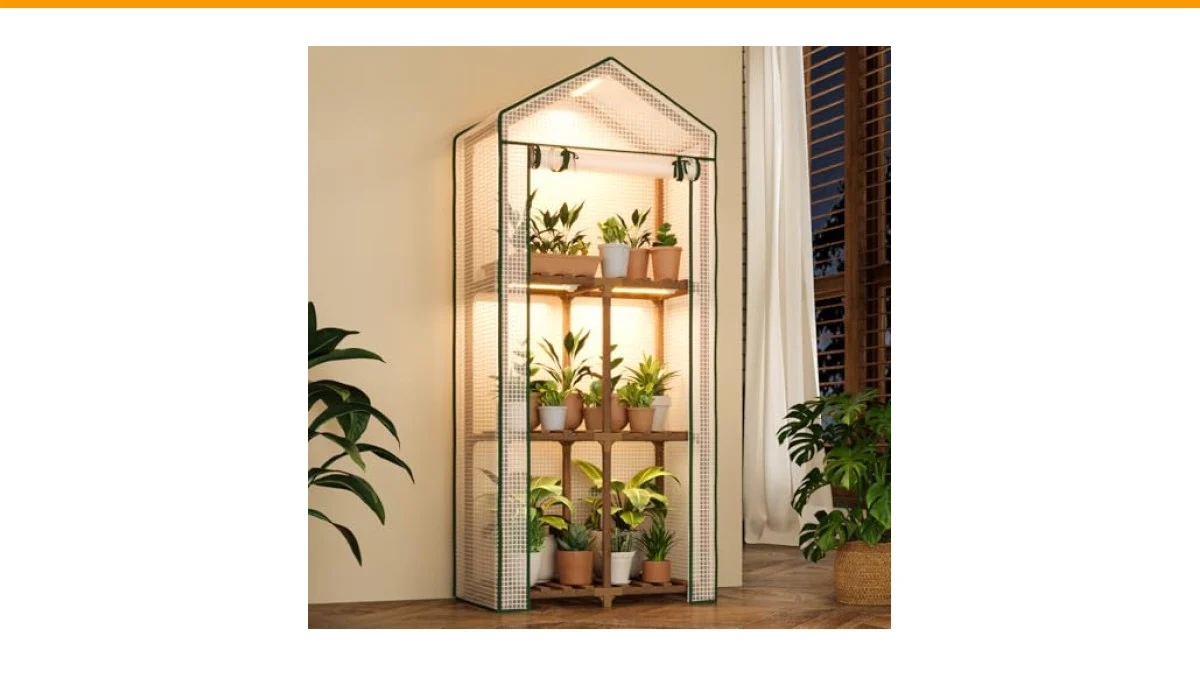 indoor plant greenhouses
