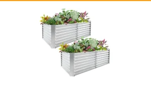 large container garden ideas
