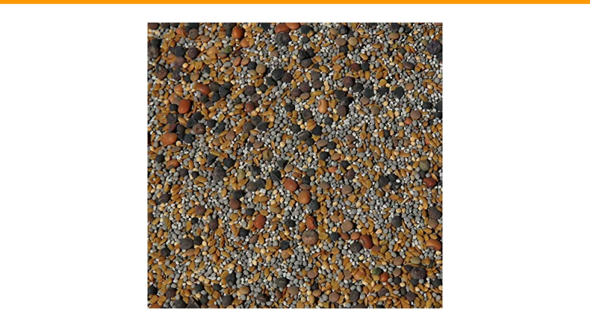 living mulch cover crops
