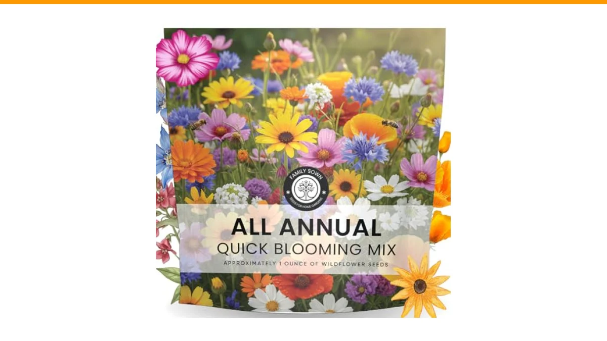 The Longest Blooming Annual Flowers for Your Garden 2 longest blooming annual flowers