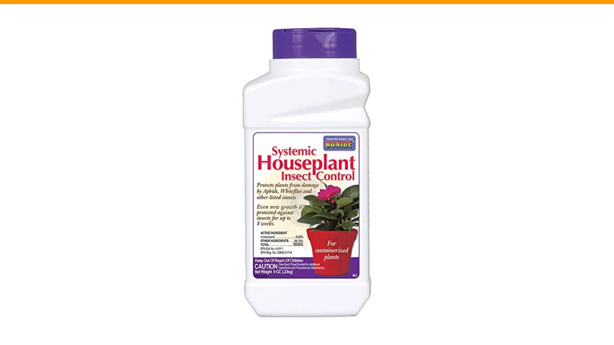 mealybug control for houseplants