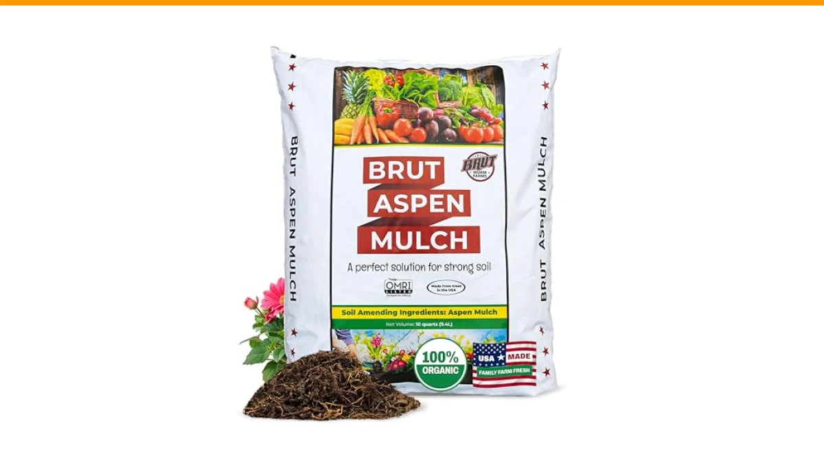 mulch volcano problems around plants