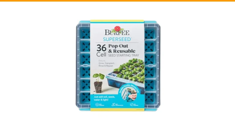 ordering seeds in winter