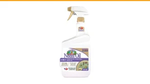 organic rose pest control
