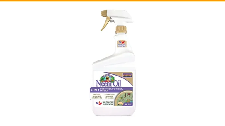 organic rose pest control
