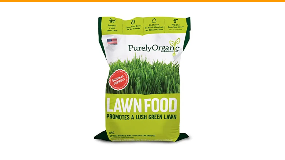 Organic vs Synthetic Lawn Fertilizer: Making the Right Choice for Your Lawn 1 organic vs synthetic lawn fertilizer