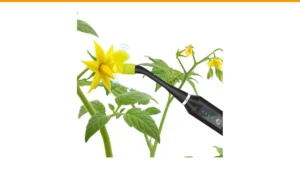 pollinator garden plant list