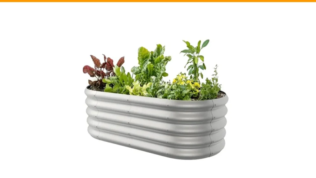 raised vegetable garden ideas