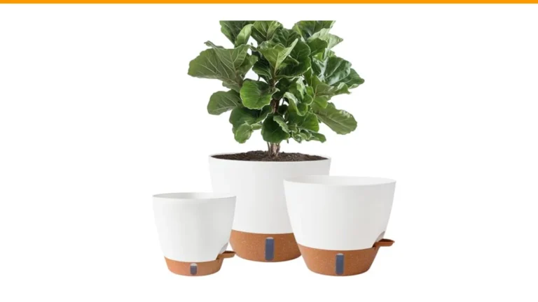 self watering containers DIY