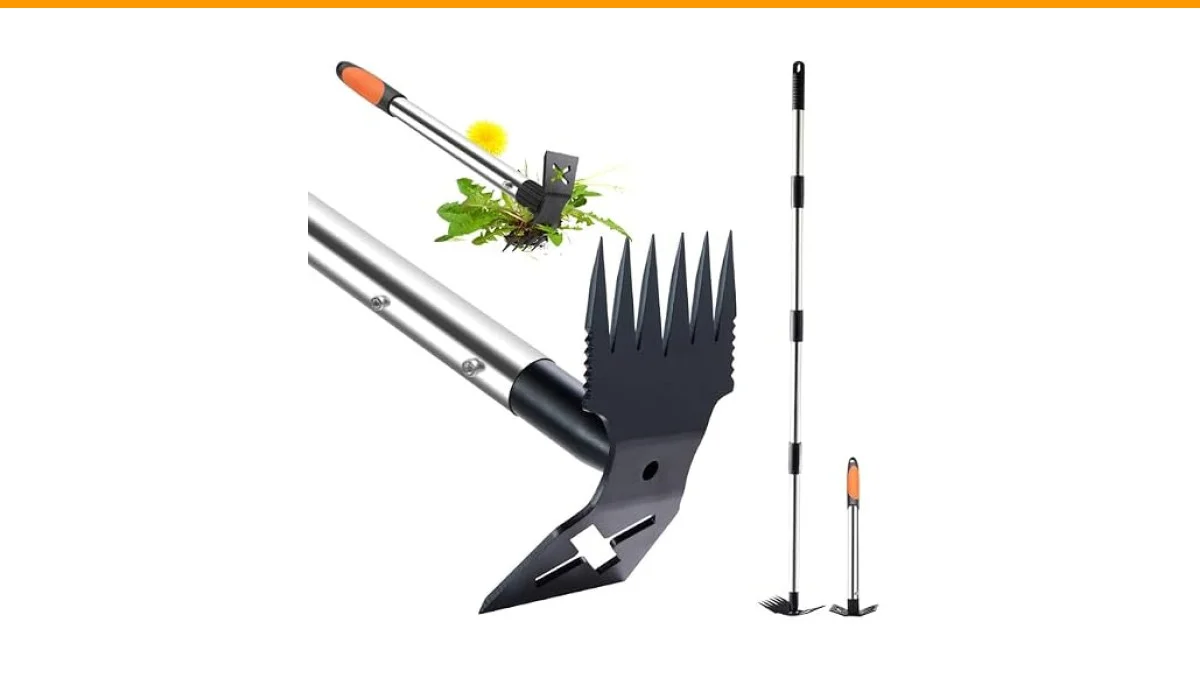 Essential Spring Garden Cleanup Tasks for a Thriving Garden 2 spring garden cleanup tasks