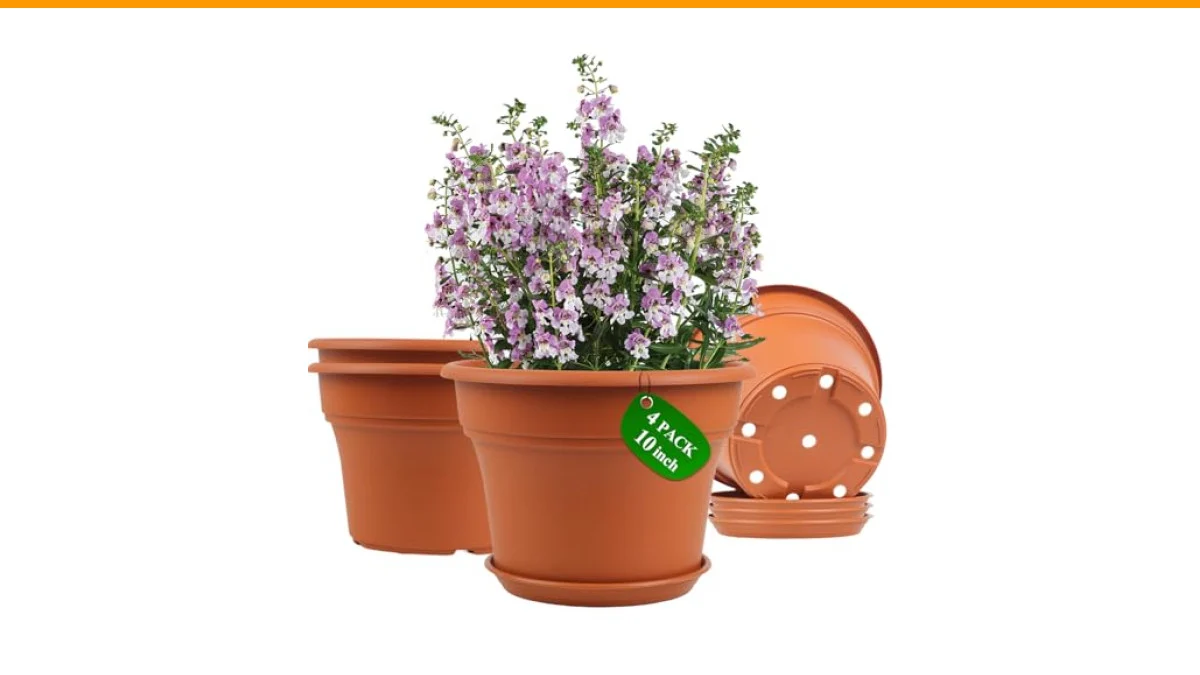 terracotta vs plastic planters