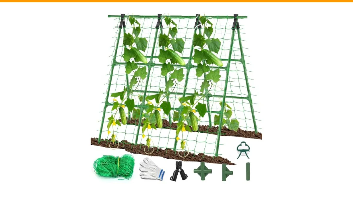 trellis for bitter gourd