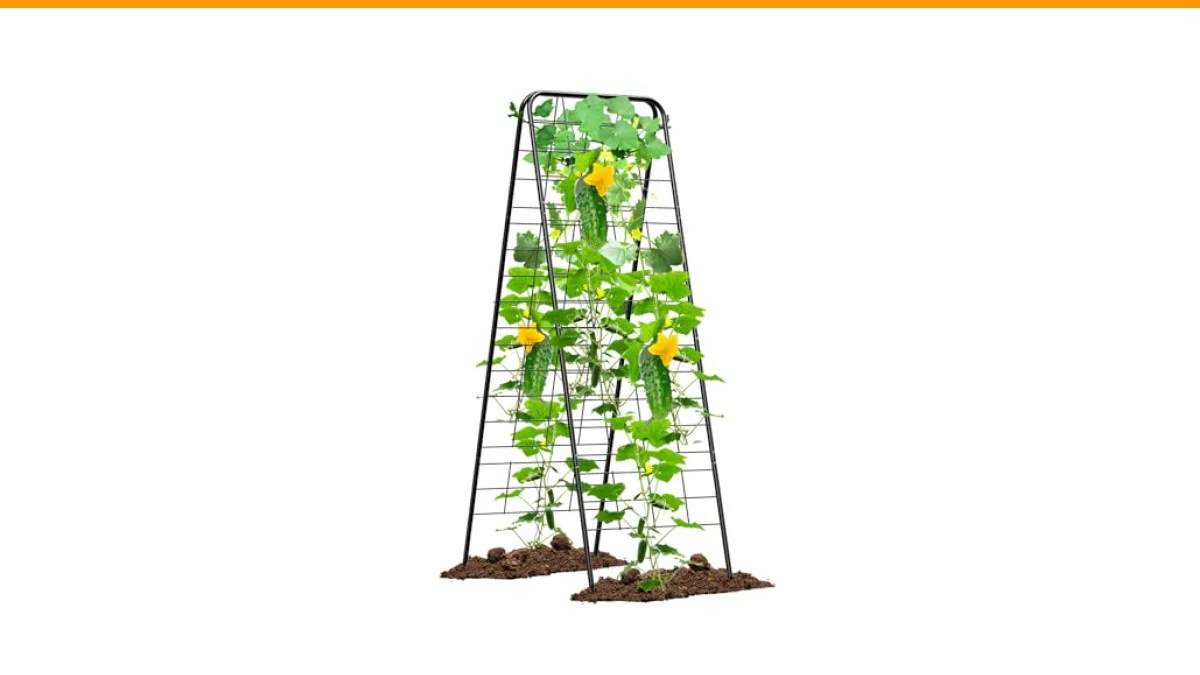 trellis for bitter melon