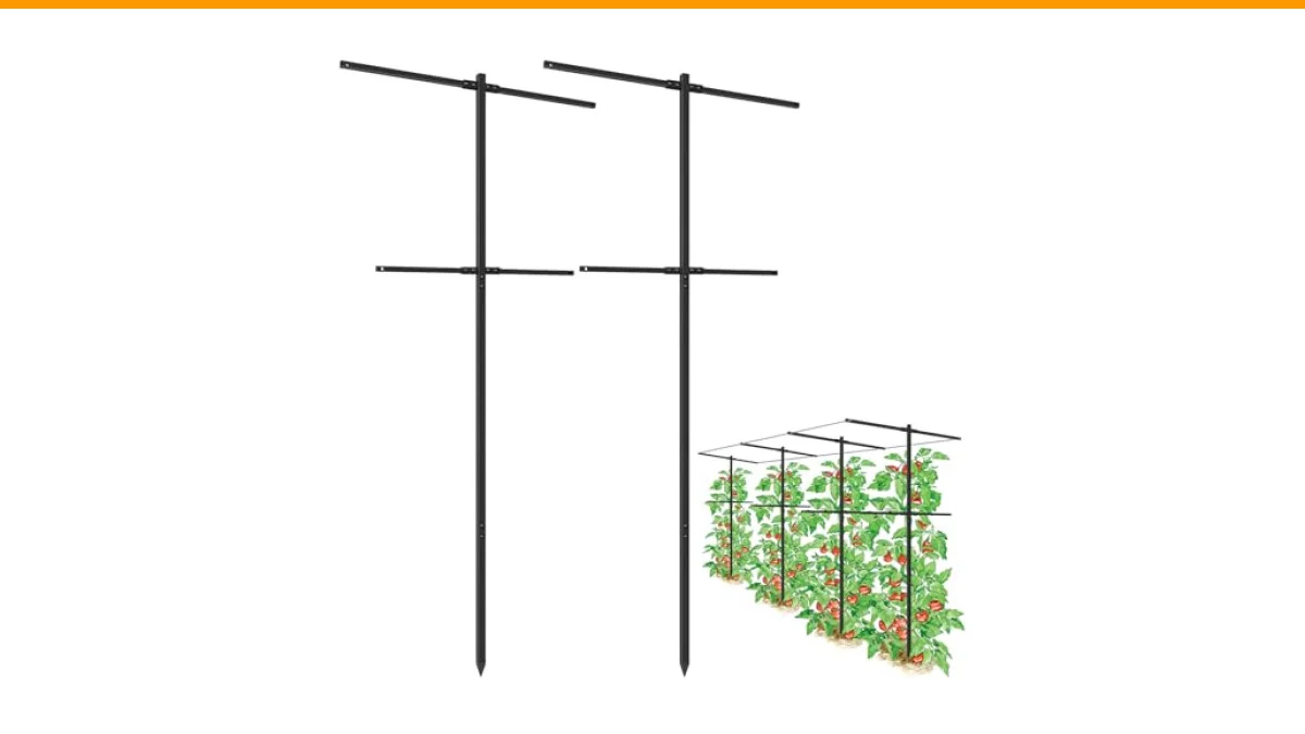 4 Best Trellis for Blackberry Vines 4 trellis for blackberry vines