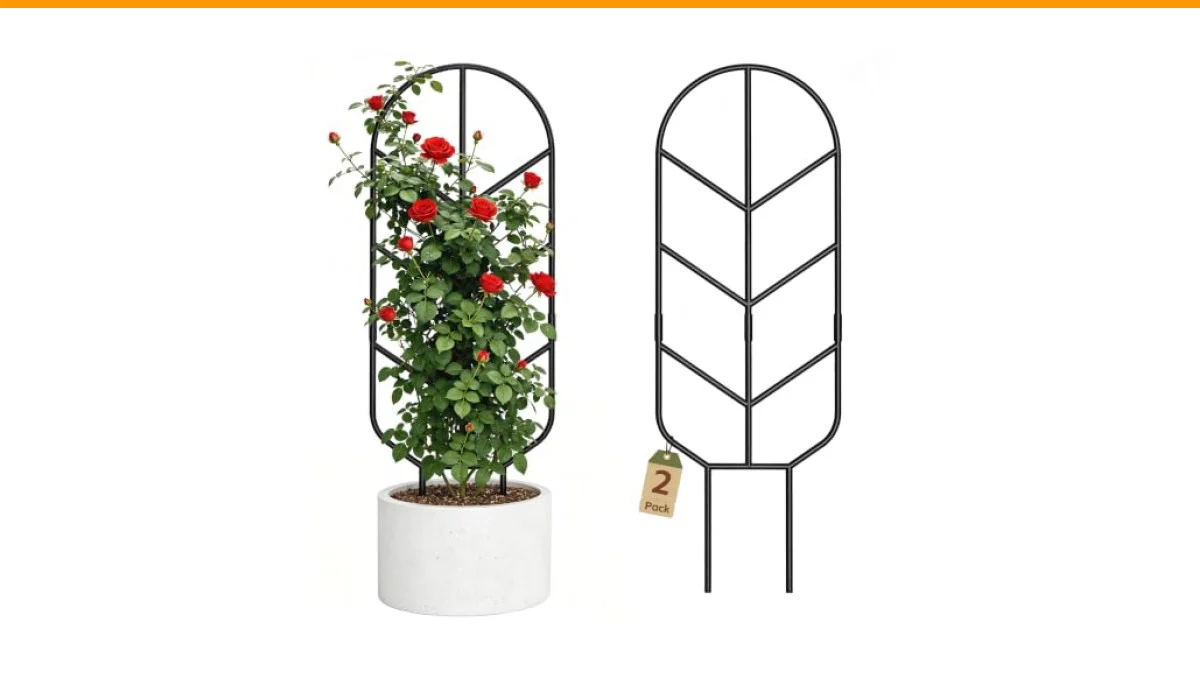 trellis for container plants